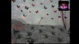 Lillyshowgirl  23-11-2020